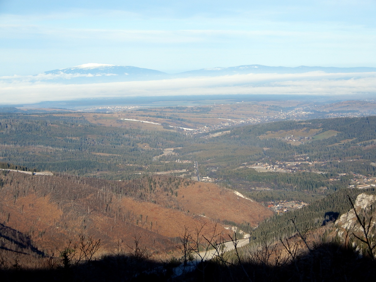 Raczkujący projekt online